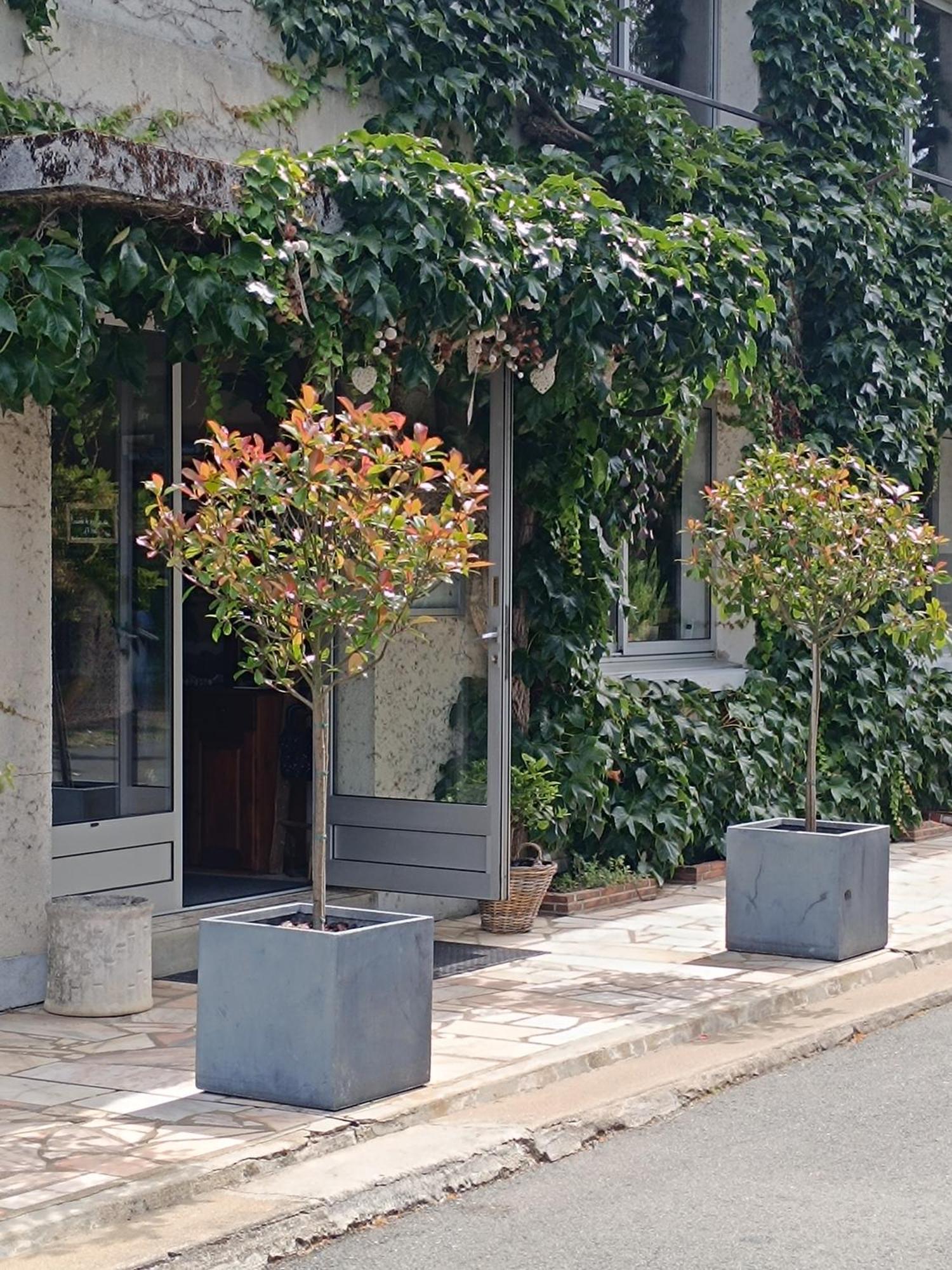 Chambres D'Hotes Du Port Gautier Vouvray-sur-Loir Dış mekan fotoğraf